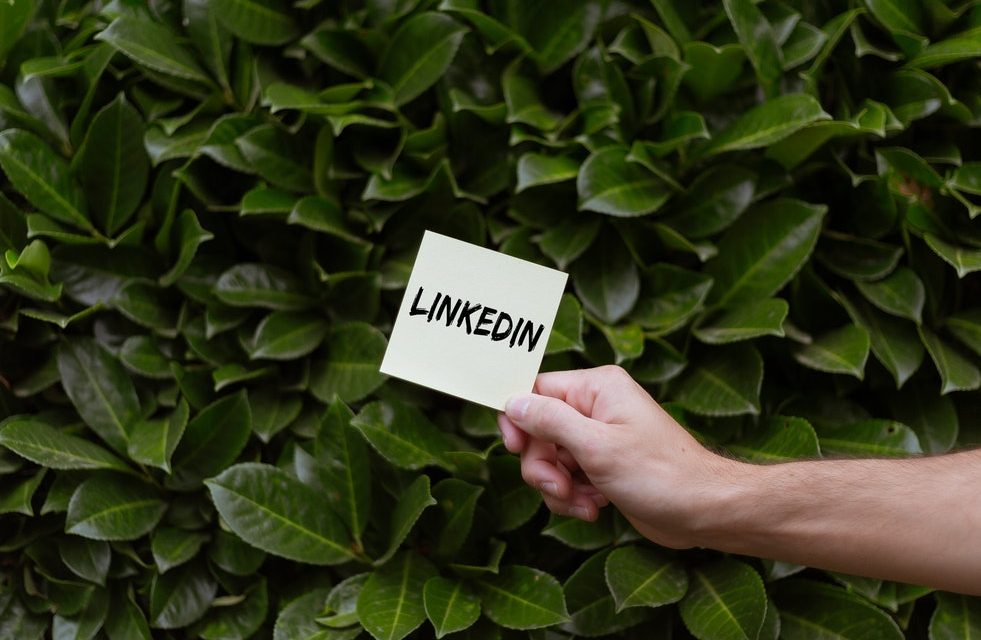 What experience do you need to pursue a career in digital marketing?