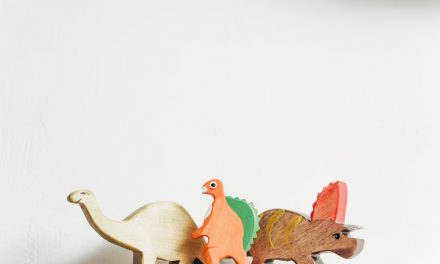 Ways to Create a Versatile Playroom for Your Children