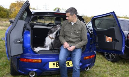 MINI and Dogs Trust’s top tips for happy travel with your V.I.Pooches