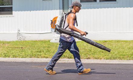How to increase client satisfaction as a gardener