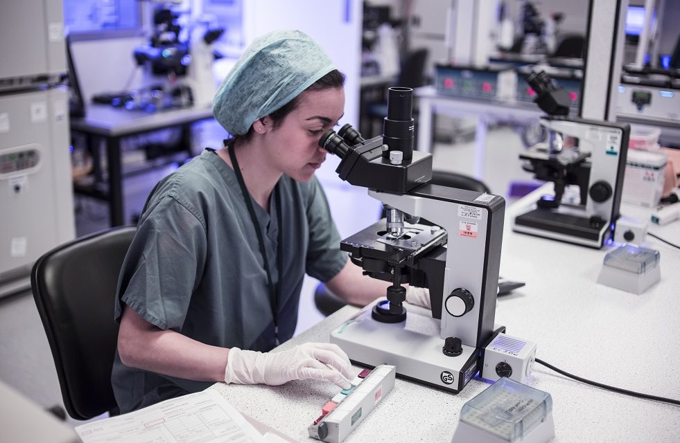 The Past and Future of Fertility, TFP Fertility Looks Back at the past year in fertility and prediction for the future
