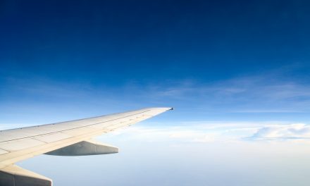 How Did the Pandemic Affect the Travel Industry?