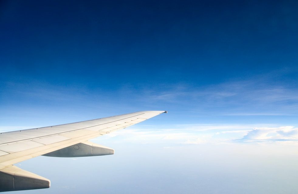 How Did the Pandemic Affect the Travel Industry?