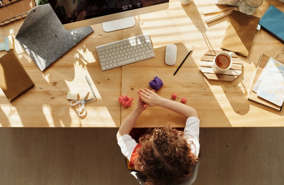How Can Play Promote Intellectual Development?