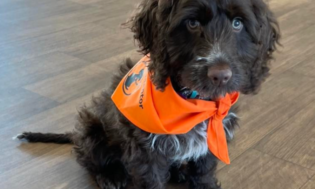 In their nature to nurture: Lancashire school em-barks on new adventure with housebuilder’s help