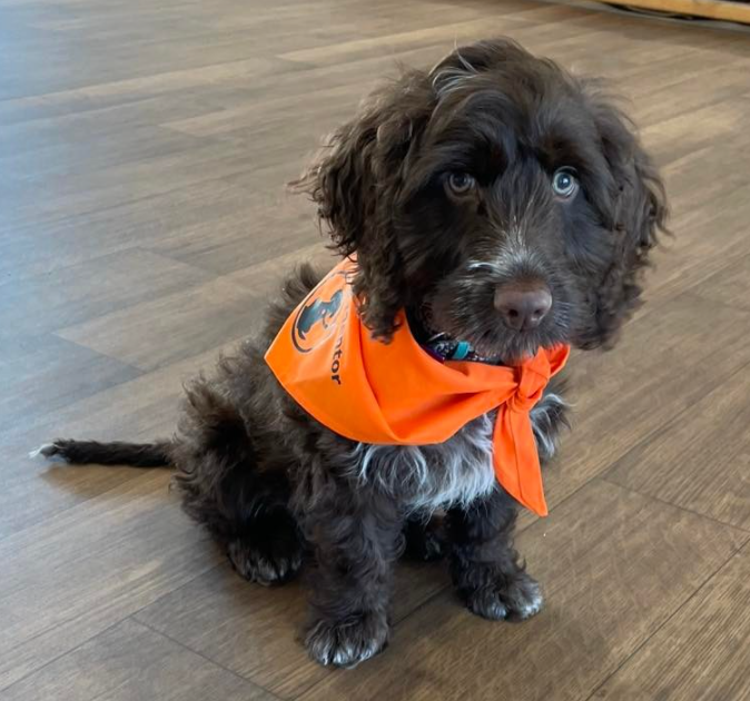 In their nature to nurture: Lancashire school em-barks on new adventure with housebuilder’s help