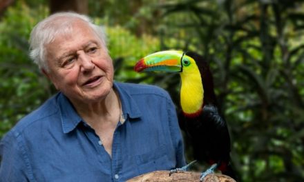 DAVID ATTENBOROUGH NAMED THE UK’S MOST ADMIRED MALE