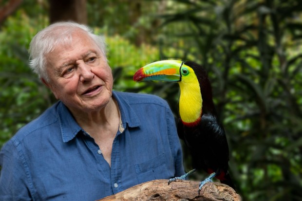 DAVID ATTENBOROUGH NAMED THE UK’S MOST ADMIRED MALE