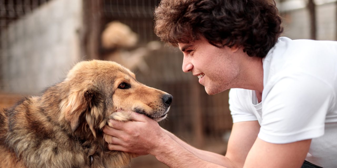CO-OP INSURANCE’S NEW PET INSURANCE IS NOW AVAILABLE AT QUOTEZONE