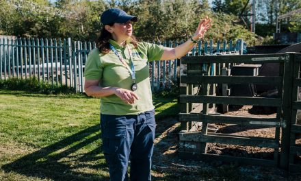 YMCA Together’s Urban Farm Project Attracts Region’s Corporates With Surge In Away Days