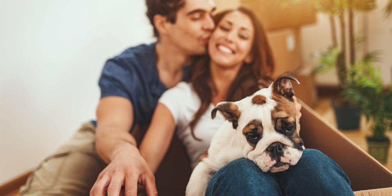 HAPPY PET, HAPPY MOVING DAY. Expert advice and top tips for moving with pets