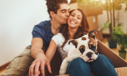 HAPPY PET, HAPPY MOVING DAY. Expert advice and top tips for moving with pets