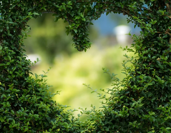 Have You Got the Ideal Home Garden?