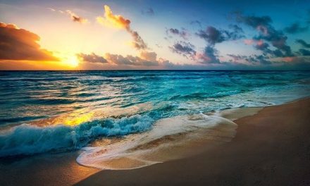 Adopting a Blue Zone Lifestyle for the New Year