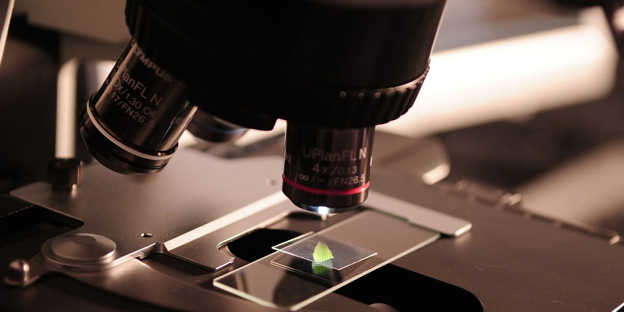 Great Minds Think Alike: Influential Women Who Have Transformed Science