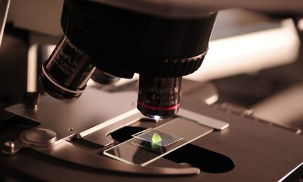 Great Minds Think Alike: Influential Women Who Have Transformed Science