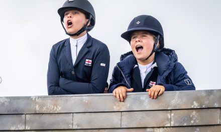 International Horse Show returns this month featuring VIP guests and entertainment for all