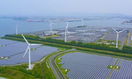 Sustainable Companies: Inspiration from Around the World