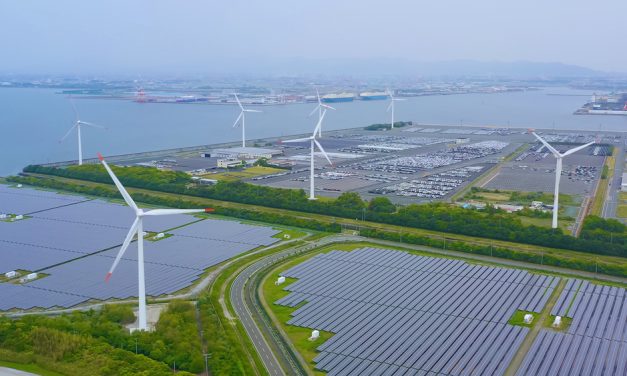 Sustainable Companies: Inspiration from Around the World