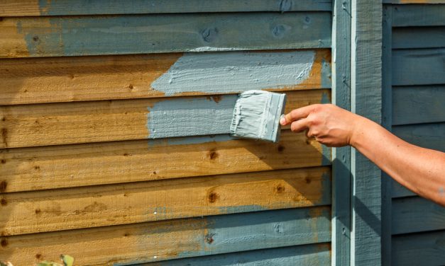 What to Consider When Making Your Garden Summer Ready