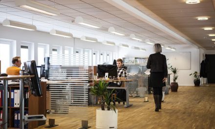Suspended ceilings – what you need to know