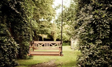 Top Tips to Create the Perfect Garden