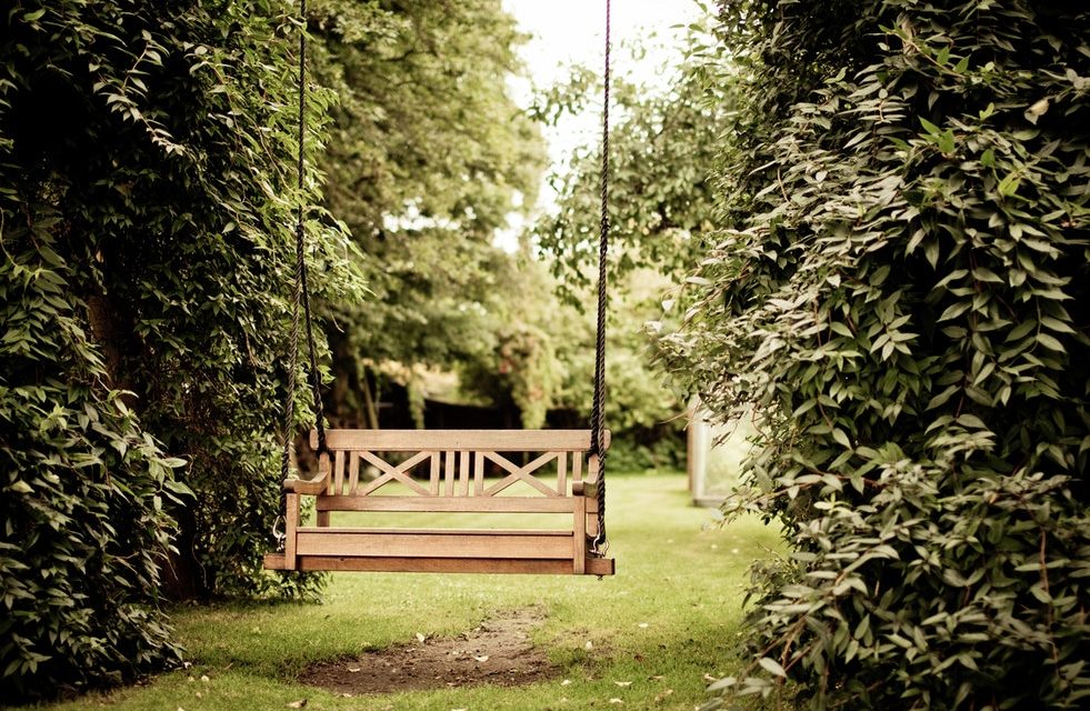 Top Tips to Create the Perfect Garden