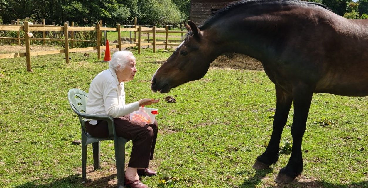 Horse and rescuer reunited after many years apart