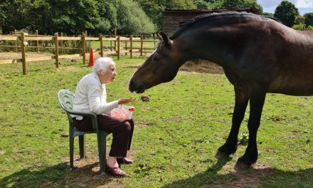 Horse and rescuer reunited after many years apart