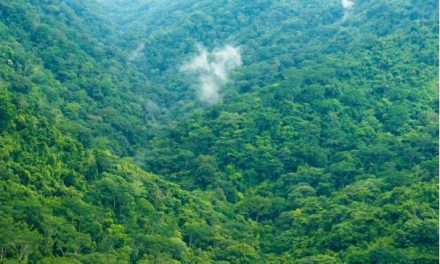 Horizon Platforms Awarded Silver Medal Following EcoVadis Sustainability Assessment