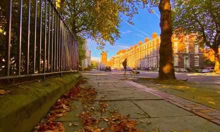 Liverpool remains a cut above in bucking property trends when it comes to affordability