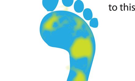 What are businesses doing to reduce carbon emissions?