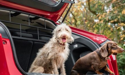 Honda launches new range of dog accessories, inspired by April Fools’ Day joke