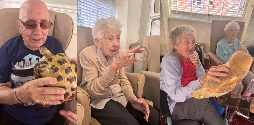 Elderly enjoy animal therapy with exotic menagerie