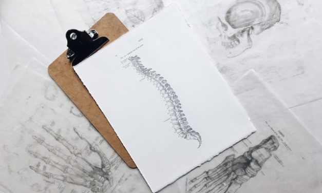 Tips on how to take care of your back this National Back Care Awareness Week