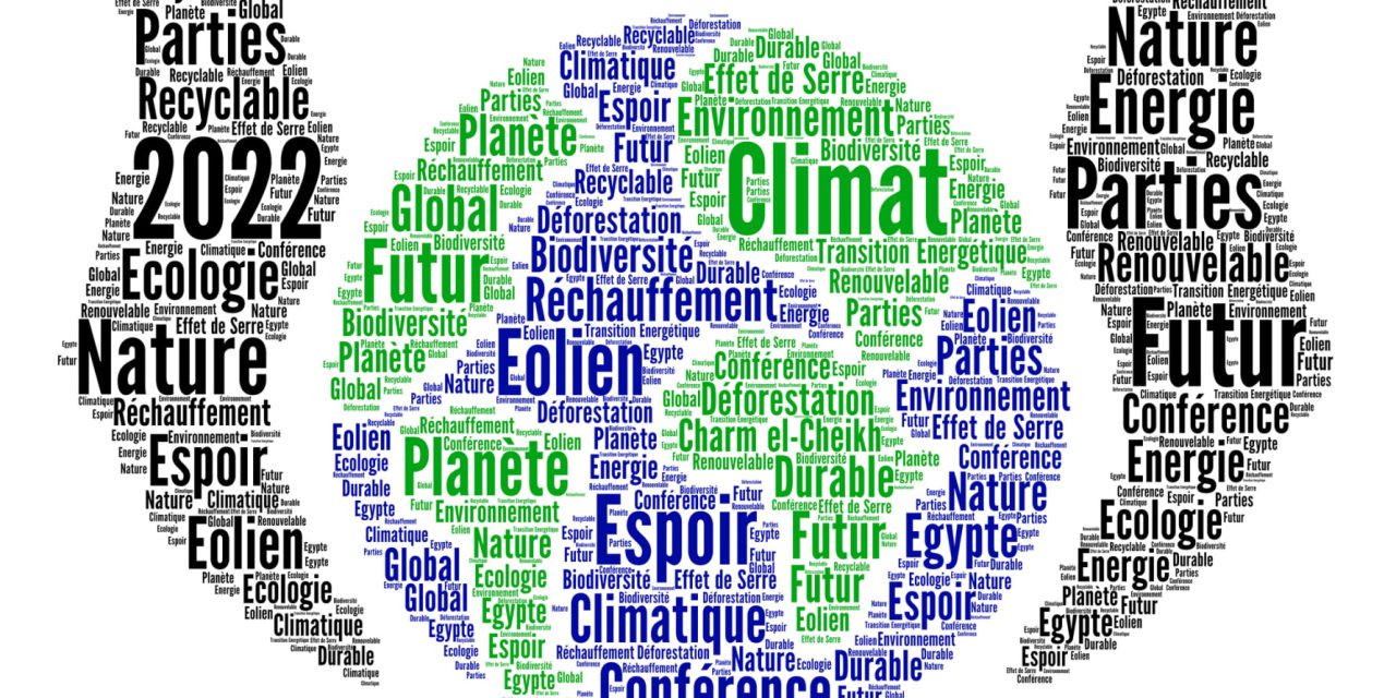 Bluewater Water Refill Stations and Sustainable Bottles Bring Dynamic Hydration Solution to COP27