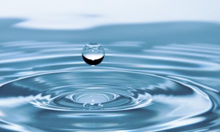 Why is water hygiene important for construction businesses?