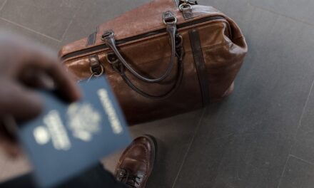What do you need to know as a global business traveller?