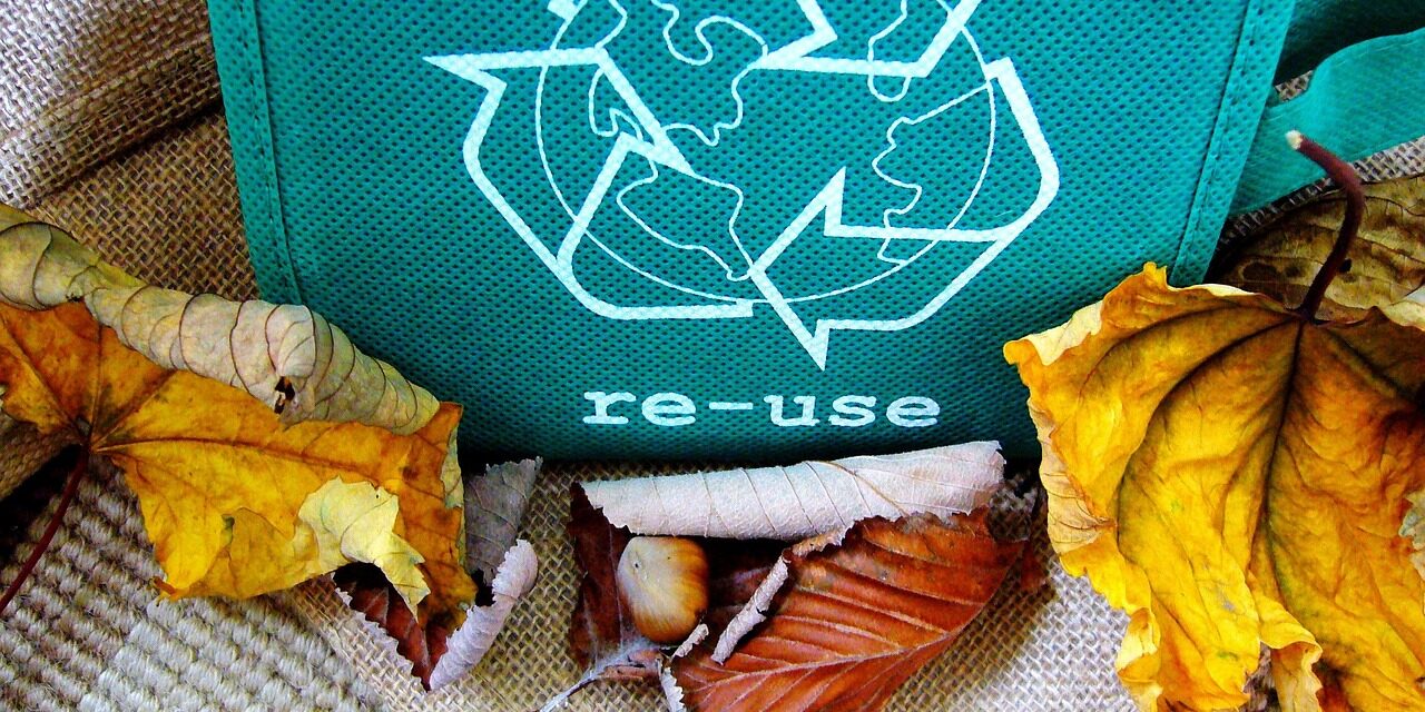 How to Deal with Eco-Guilt