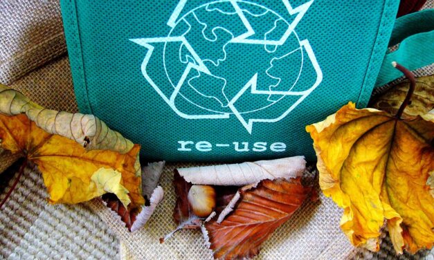 How to Deal with Eco-Guilt