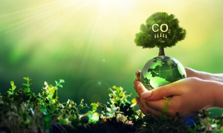 Generation Sustainability: How Gen Z is Influencing Green Business Operations