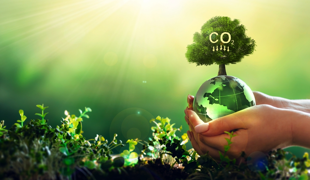 Generation Sustainability: How Gen Z is Influencing Green Business Operations