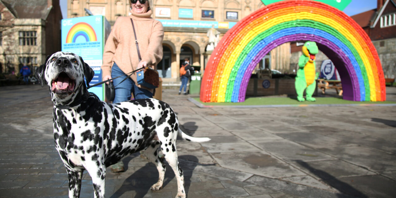 Giant recycling rainbow appears in York city centre