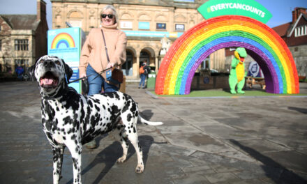 Giant recycling rainbow appears in York city centre