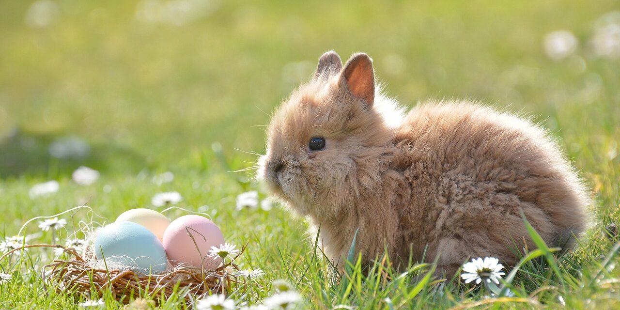 Where to take the kids for Easter 2023 in Oldham?