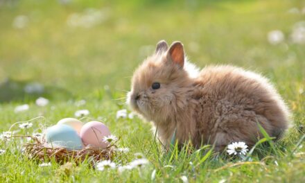 Where to take the kids for Easter 2023 in Oldham?