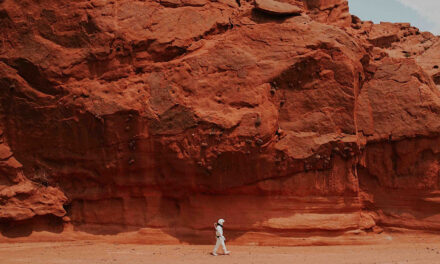 Will SpaceX get to Mars?