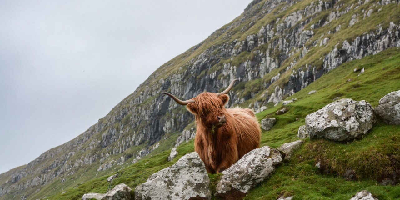 Best Festivals to Visit in Scotland for Summer 2023