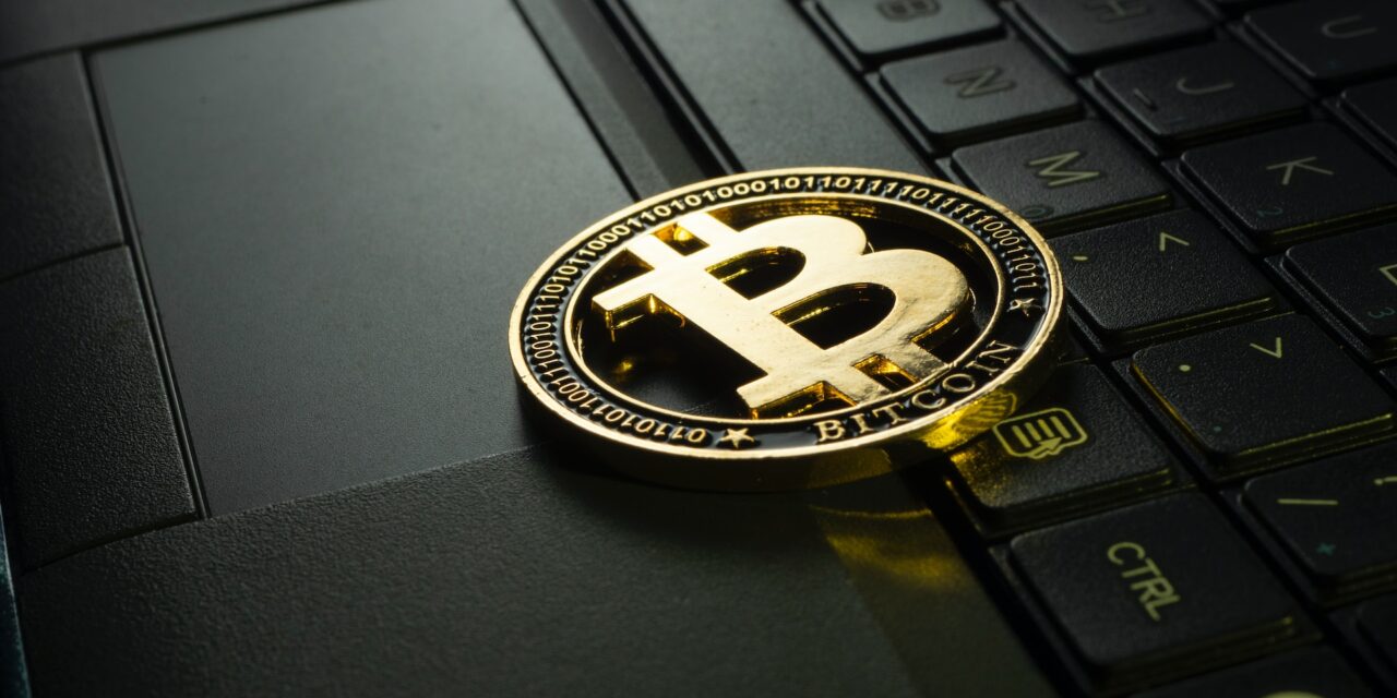 How are businesses embracing Cryptocurrency in 2023
