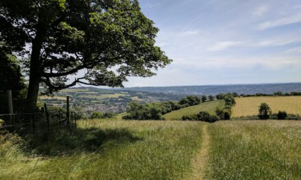 Places to Stay in the South West England